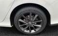 Honda Civic 1.0T 5 porte Elegance CVT White - thumbnail 7