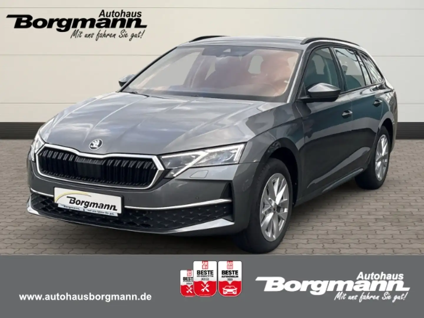 Skoda Octavia Combi Selection 1.5 Keyless Go - LED-Tagfahrlicht Grigio - 1