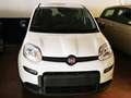 Fiat Panda Pandina 1.0 firefly hybrid s Bianco - thumbnail 2