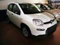 Fiat Panda Pandina 1.0 firefly hybrid s Bianco - thumbnail 1