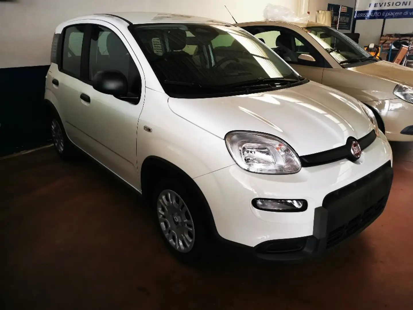 Fiat Panda Pandina 1.0 firefly hybrid s Bianco - 1