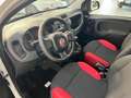 Fiat Panda 1.3 MJT S&S Pop Van 2 posti - SOLO 66.000KM Grigio - thumbnail 7
