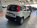 Fiat Panda 1.3 MJT S&S Pop Van 2 posti - SOLO 66.000KM Grigio - thumbnail 4