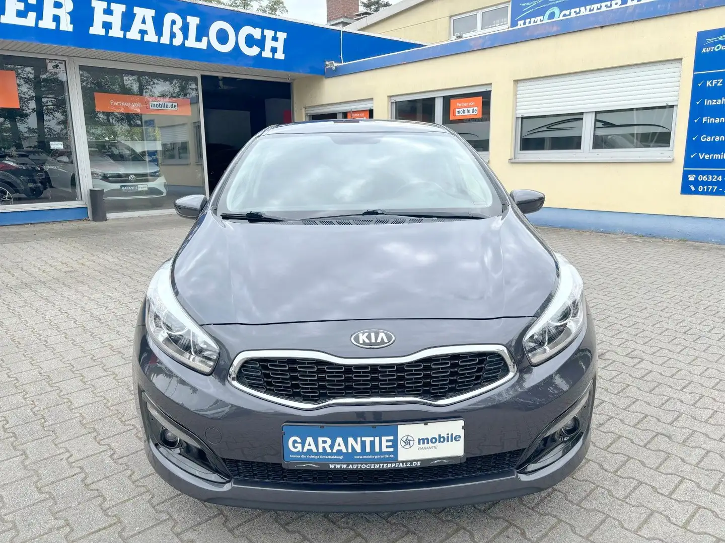 Kia Ceed / cee'd Edition 7 PDC WinterP. Grau - 2