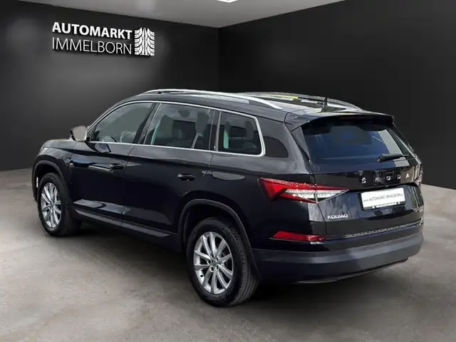 Skoda Kodiaq view 6