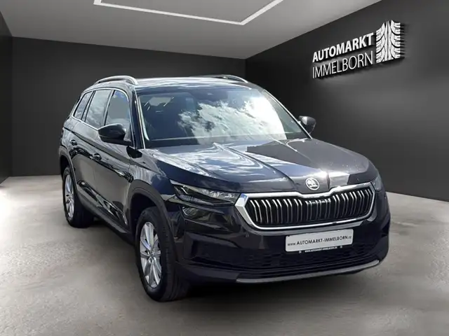 Skoda Kodiaq view 2