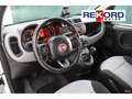 Fiat Panda 0.9 Gasolina/Metano TwinAir Lounge Wit - thumbnail 24