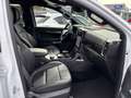 Ford Ranger 3,0 l EcoBlue Autm. Wildtrak el. Rollo Weiß - thumbnail 11