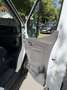 Ford Transit Transit Kasten 2,0 EcoBlue Heck L4H3 350 TrendTrend Weiß - thumbnail 13