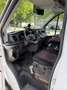 Ford Transit Transit Kasten 2,0 EcoBlue Heck L4H3 350 TrendTrend Weiß - thumbnail 9