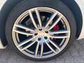 Maserati Ghibli V6 Gransport Bianco - thumbnail 10