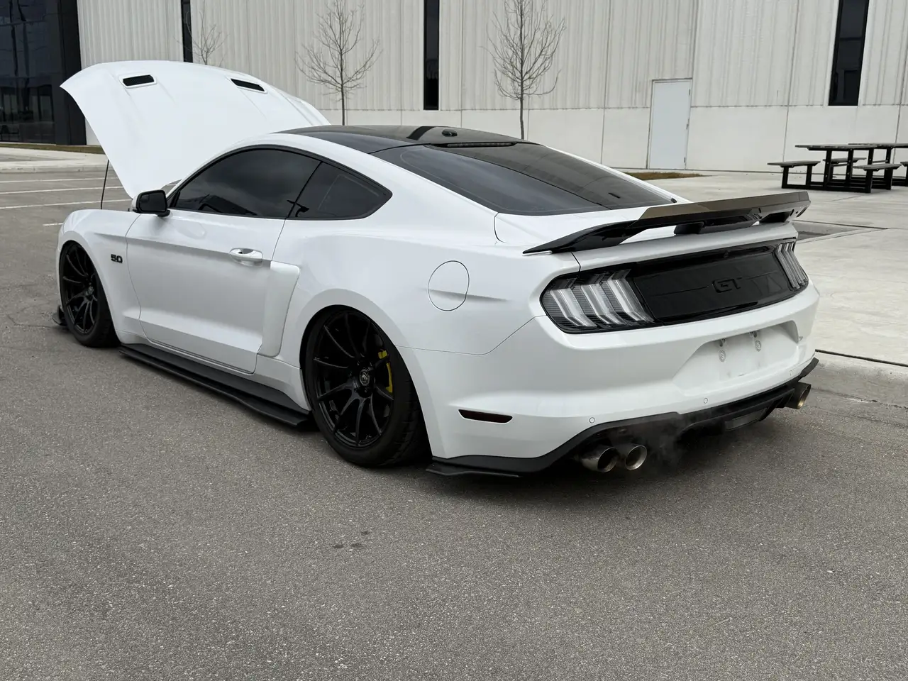 Ford Mustang снимка Ford Mustang