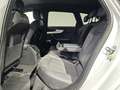 Audi A4 40 TFSI Q 2x S Line Matrix KameraStandheizung Weiß - thumbnail 16