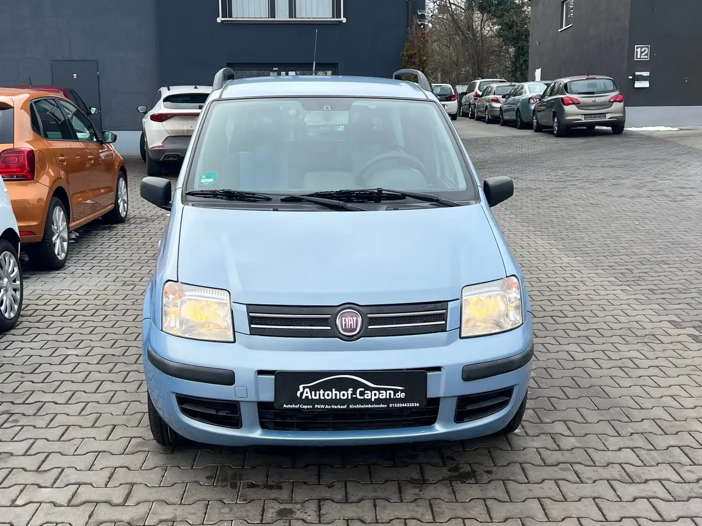Fiat Panda Panda 1.2 Dynamic/Klima/Servo/TÜV Neu/ZV/5Tur Blau - 2