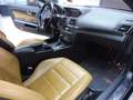 Mercedes-Benz E 250 CGI Cabrio BlueEfficiency Airscraf/Xen/Nav Schwarz - thumbnail 14