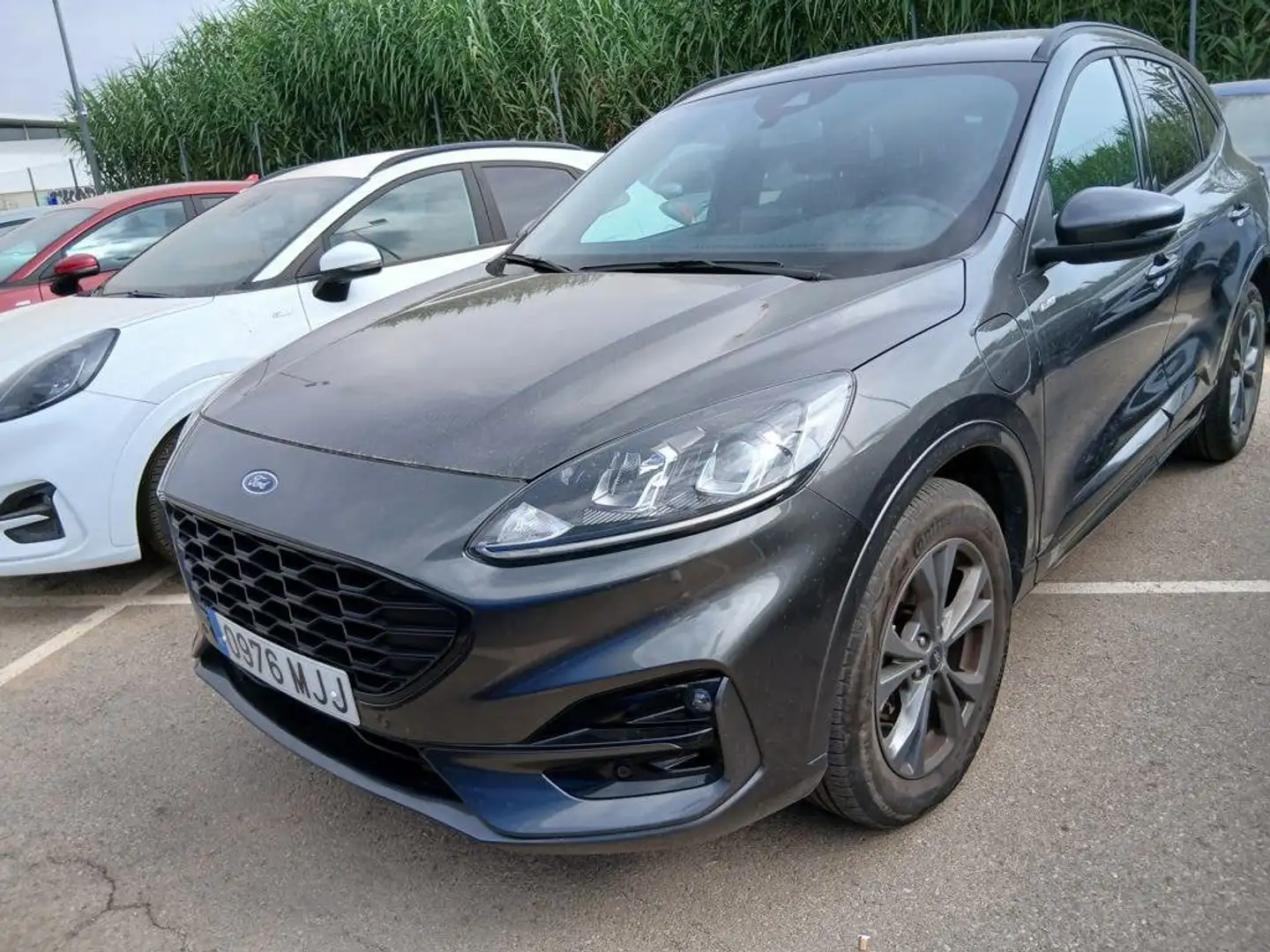 Ford Kuga 2.5 Duratec PHEV ST-Line X Graphite Tech 4x2 Gris - 1