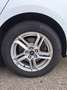 Ford Focus Focus Traveller 1,5  Trend Edition Business Weiß - thumbnail 6