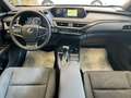Lexus UX 250h Hybrid *UNICO PROP.*NAVI*TELECAMERA* Grigio - thumbnail 10