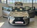 Lexus UX 250h Hybrid *UNICO PROP.*NAVI*TELECAMERA* Grigio - thumbnail 2