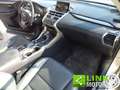 Lexus NX 300 Full Hybrid AWD Autom. Grigio - thumbnail 6
