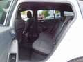 Ford Focus Turnier 1.0 EcoBoost ST-Line - LED - Cam - Blanc - thumbnail 8