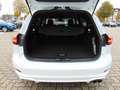 Ford Focus Turnier 1.0 EcoBoost ST-Line - LED - Cam - Blanc - thumbnail 14