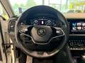 Skoda Kodiaq L&K 4x4 SBL*360°*Canton*Business* Weiß - thumbnail 18