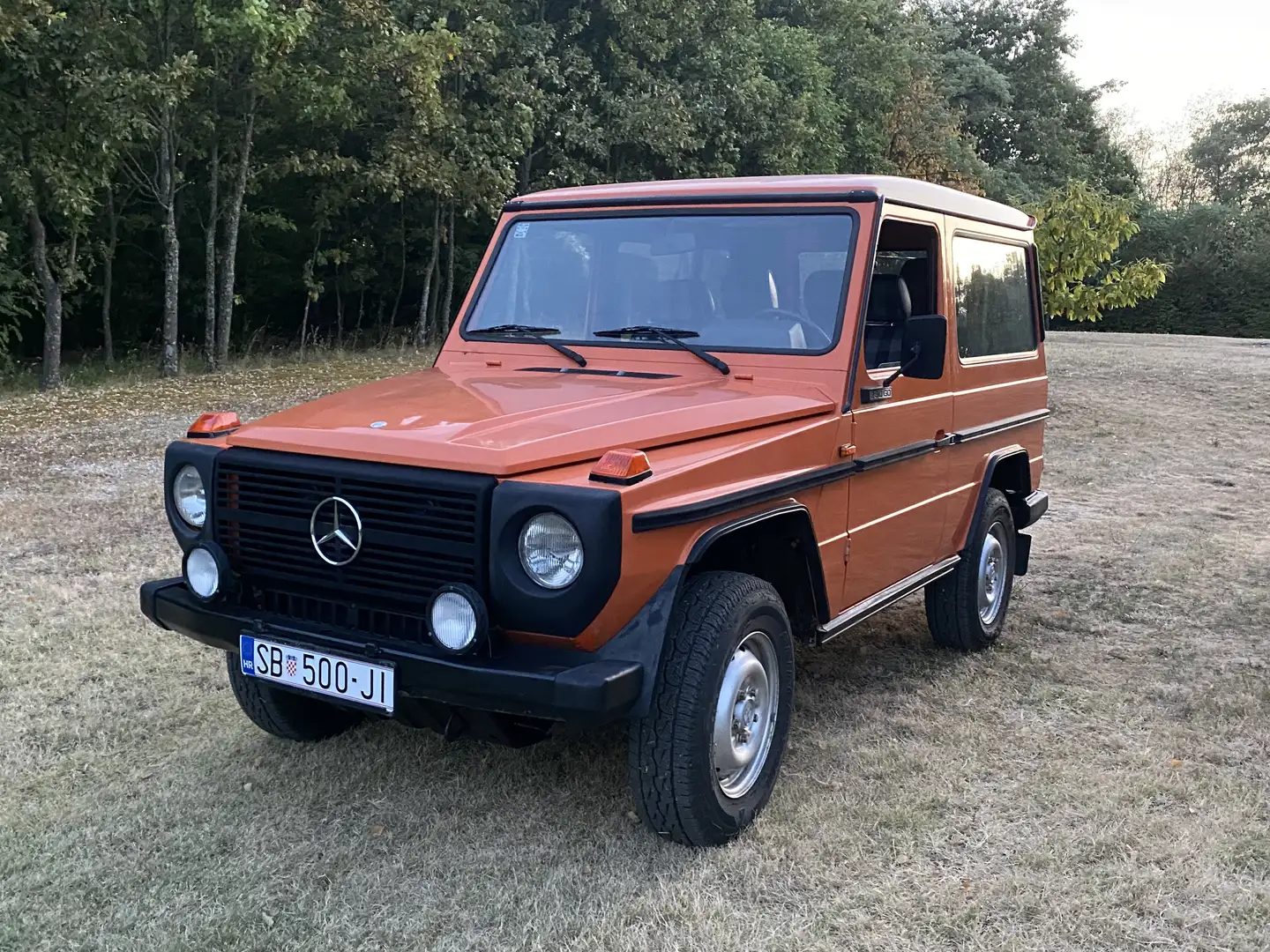 Mercedes-Benz G 290 GD - 1