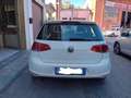 Volkswagen Golf VII 5p 1.6 tdi Highline Executive (business) 110cv Bianco - thumbnail 3