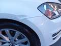 Volkswagen Golf VII 5p 1.6 tdi Highline Executive (business) 110cv Bianco - thumbnail 12