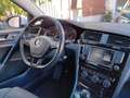 Volkswagen Golf VII 5p 1.6 tdi Highline Executive (business) 110cv Bianco - thumbnail 10