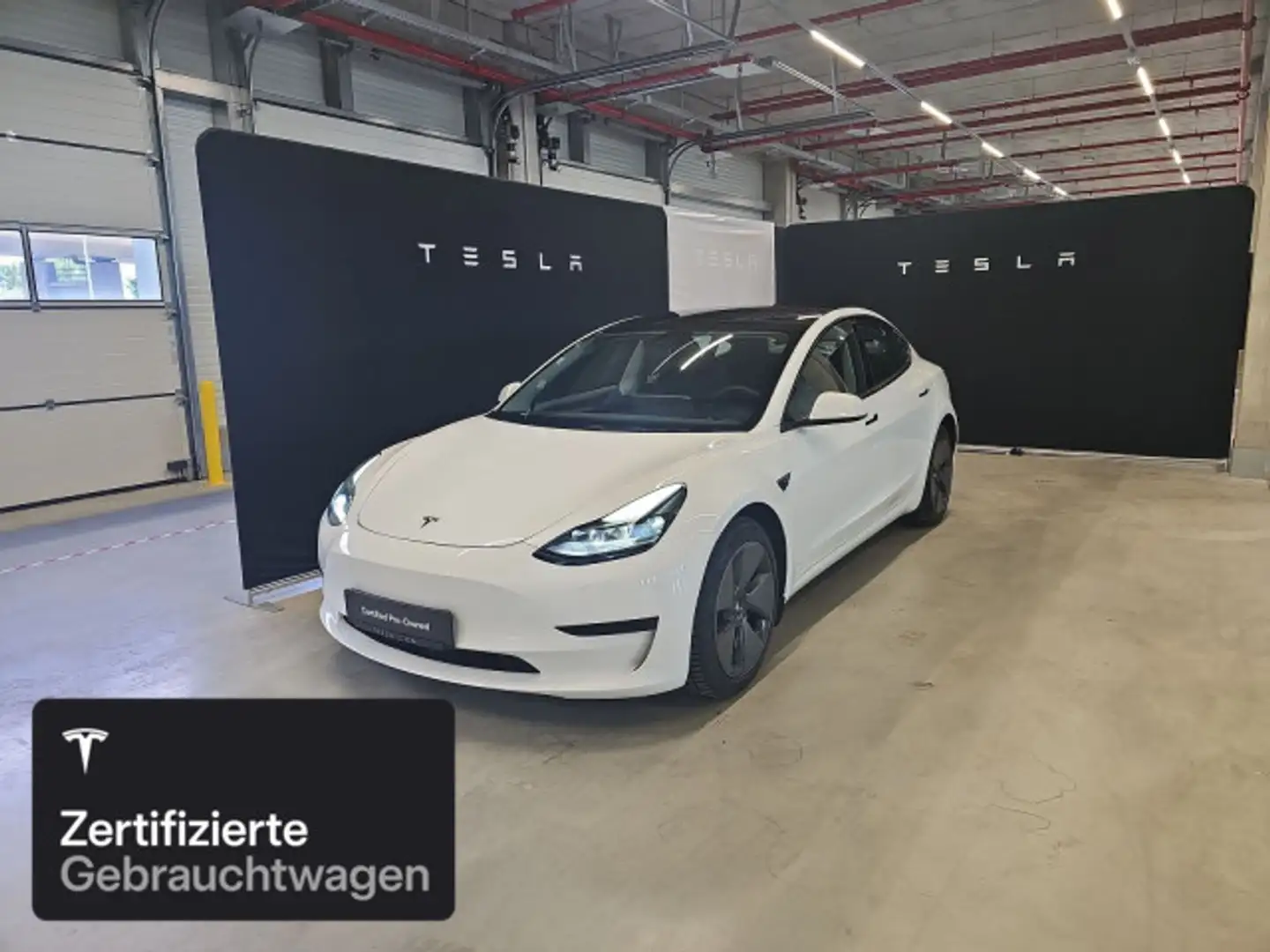 Tesla Model 3 Rear-Wheel Drive Alb - 1