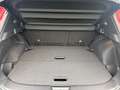 Nissan Qashqai 1.3 DIG-T MHEV Xtronic N-Connecta SITZHZ Rosso - thumbnail 12
