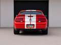 Shelby GT 500 V8 SUPERCHARGED Rot - thumbnail 5