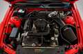 Shelby GT 500 V8 SUPERCHARGED Rot - thumbnail 9