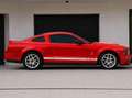 Shelby GT 500 V8 SUPERCHARGED Rot - thumbnail 3