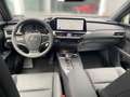 Lexus UX 300h 2.0 Hybrid F-Sport Design LED SHZ Stříbrná - thumbnail 14