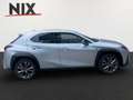 Lexus UX 300h 2.0 Hybrid F-Sport Design LED SHZ Stříbrná - thumbnail 3