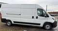 Toyota Proace Max 2.2 D-4D L3H2 3.5t Challenger BPM VRIJ Blanco - thumbnail 5