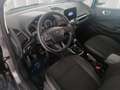Ford EcoSport 1.0 ecoboost Titanium s&s 125cv my20.25 Gris - thumbnail 7