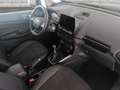 Ford EcoSport 1.0 ecoboost Titanium s&s 125cv my20.25 Gris - thumbnail 8
