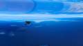 BMW Z3 M Z3 M Roadster Azul - thumbnail 18