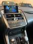 Lexus NX 300 Hybrid 4WD Executive Gris - thumbnail 8