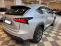 Lexus NX 300 Hybrid 4WD Executive Gris - thumbnail 5