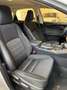 Lexus NX 300 Hybrid 4WD Executive Gris - thumbnail 11