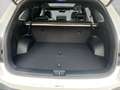 Kia Sorento PE PLATINUM 4WD PLUG-IN HYBRID 1.6 T-GDI *PANORAMA Белый - thumbnail 9