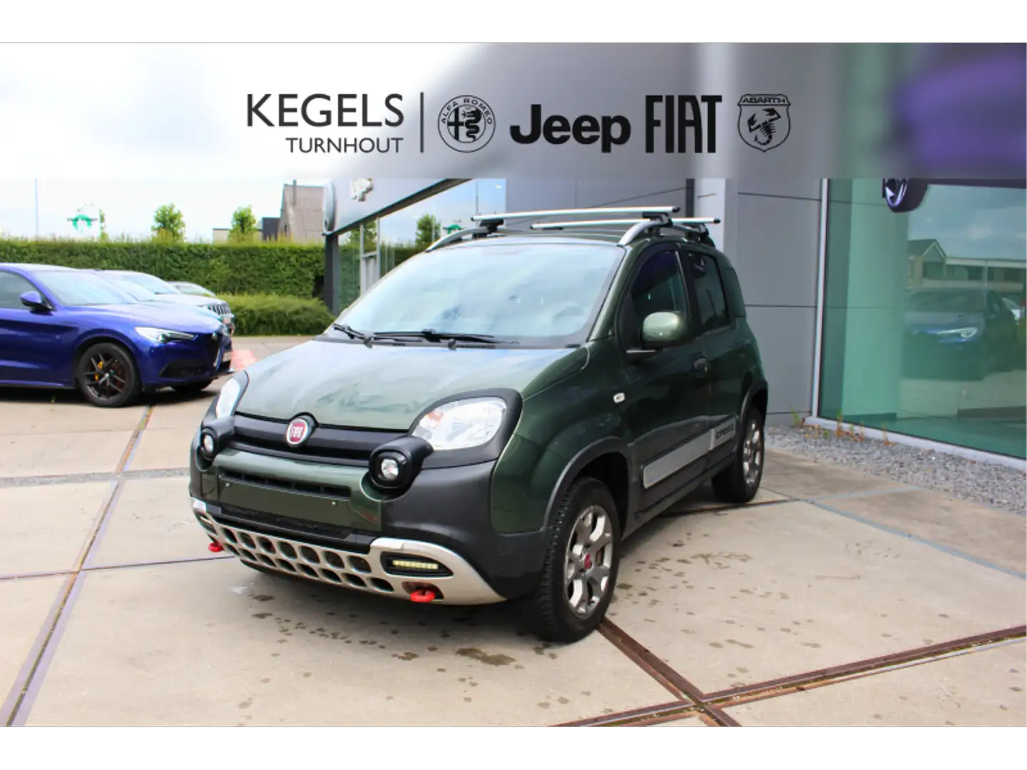 Fiat Panda Cross 1.3 JTD 4X4 Vert - 1