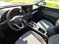 SEAT Leon 1.5 eTSI DSG 7-Gang Road Edition Kessy RFK Wit - thumbnail 8