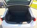 SEAT Leon 1.5 eTSI DSG 7-Gang Road Edition Kessy RFK Wit - thumbnail 12