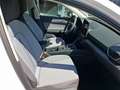 SEAT Leon 1.5 eTSI DSG 7-Gang Road Edition Kessy RFK Wit - thumbnail 13